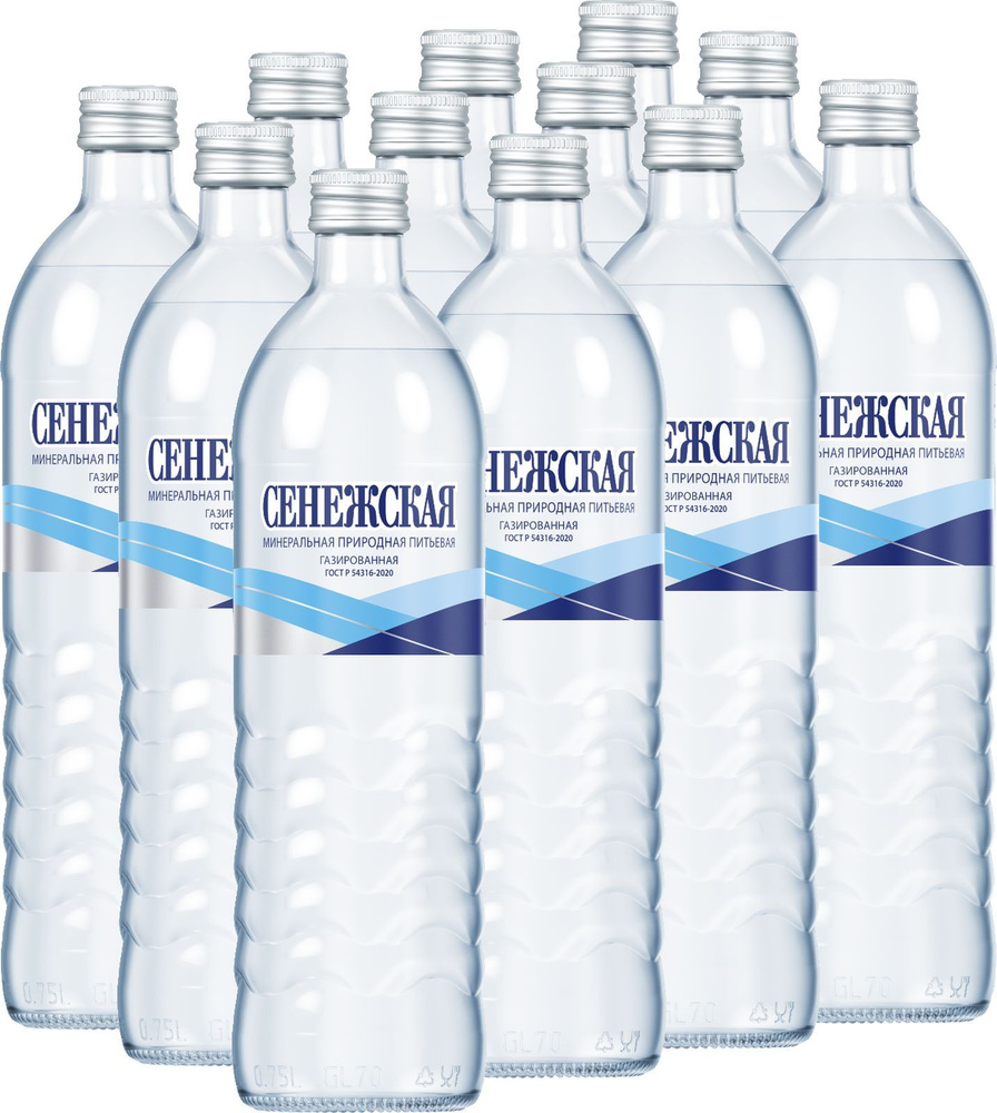 Вода газированная Сенежская минеральная природная, в стеклянной бутылке, 12 шт х 0,75 л  #1