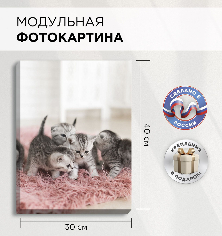 Картина на холсте для интерьера "Котята" 30х40см, Фотопанно на стену, Фотокартина модульная  #1