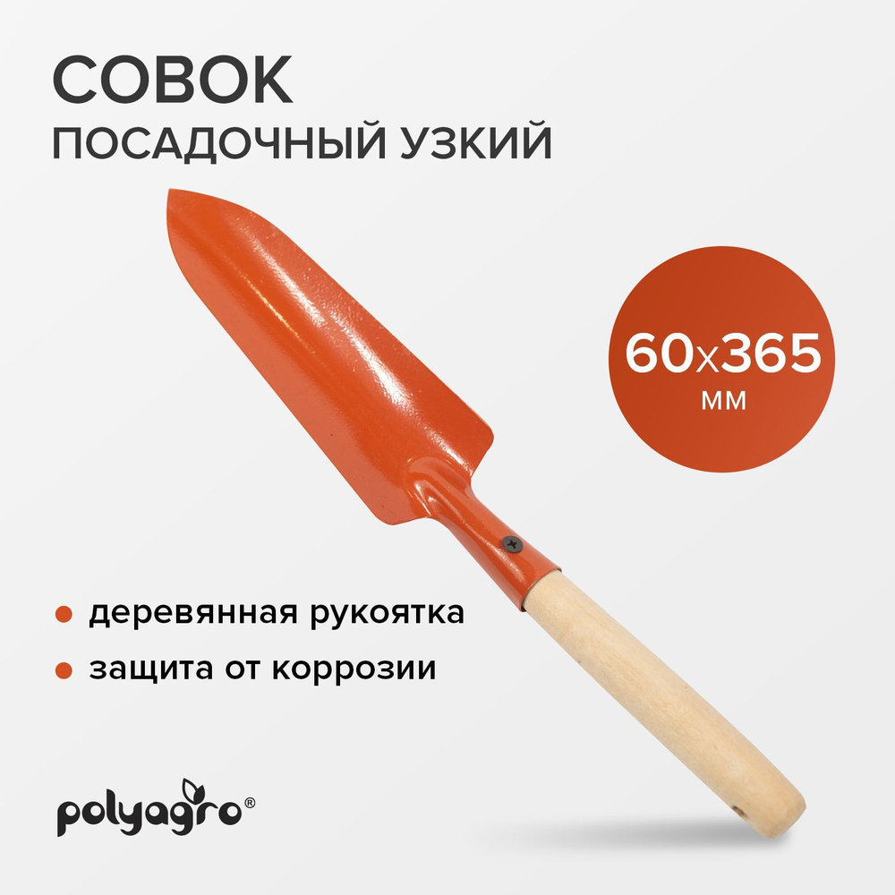 Совок садовый металлический узкий 60 мм с деревянной рукояткой, Polyagro  #1