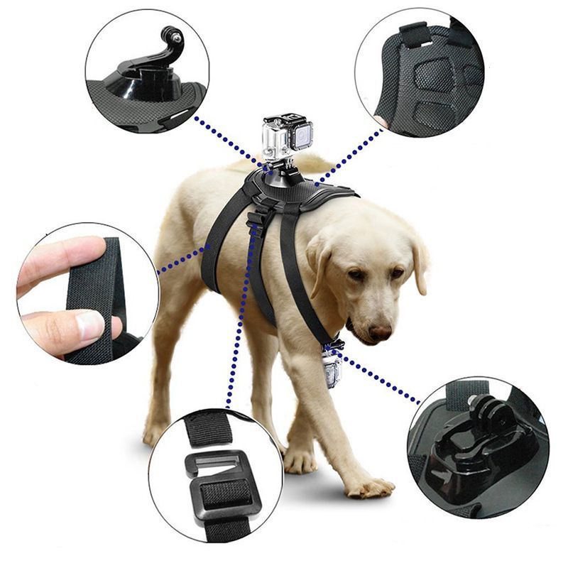 Крепление-держатель MyPads на собаку для экшн камер GoPro/ Sjcam/ insta360 из прочного водостойкого материала #1