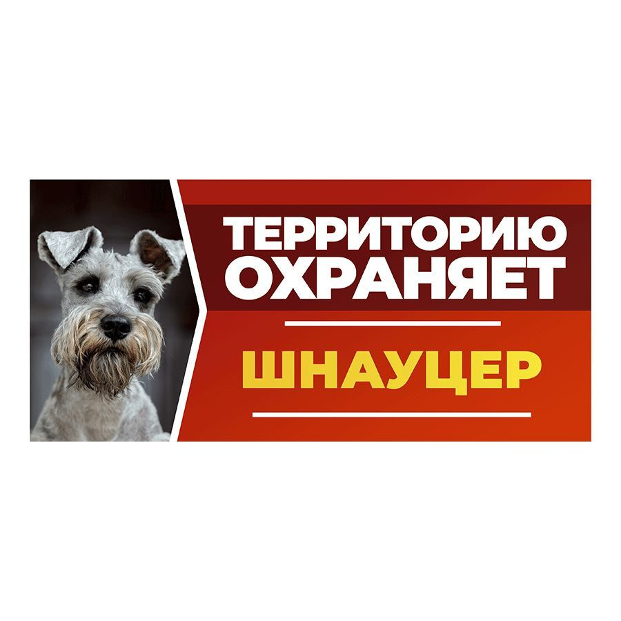 Табличка, DANGER DOG, Шнауцер, на забор, 30см х 14см #1