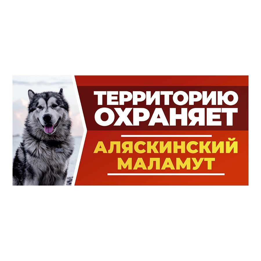 Табличка, DANGER DOG, Аляскинский маламут, на забор, 30см х 14см  #1