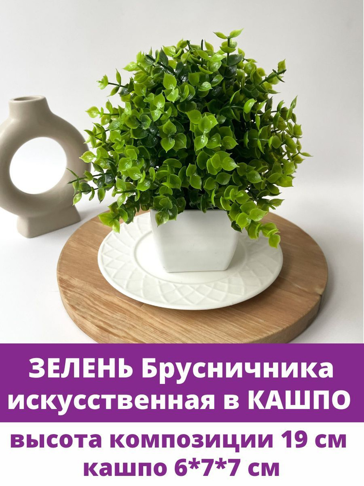 Брусничник в кашпо, зелень искусственная, высота 19 см, 1 шт.  #1