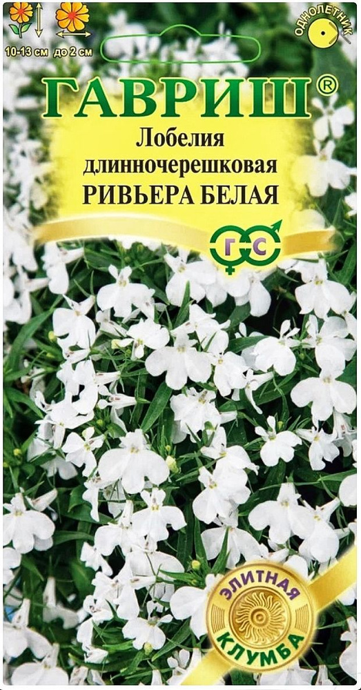 Лобелия Ривьера Белая, 1 пакет, семена 4 шт (пробирка), Гавриш  #1