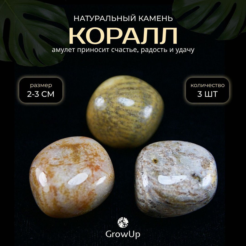 Оберег, амулет Коралл - 2-3 см, натуральный камень, самоцвет, галтовка, 3  шт - приносит счастье, радость и удачу - купить с доставкой по выгодным  ценам в интернет-магазине OZON (1024588825)