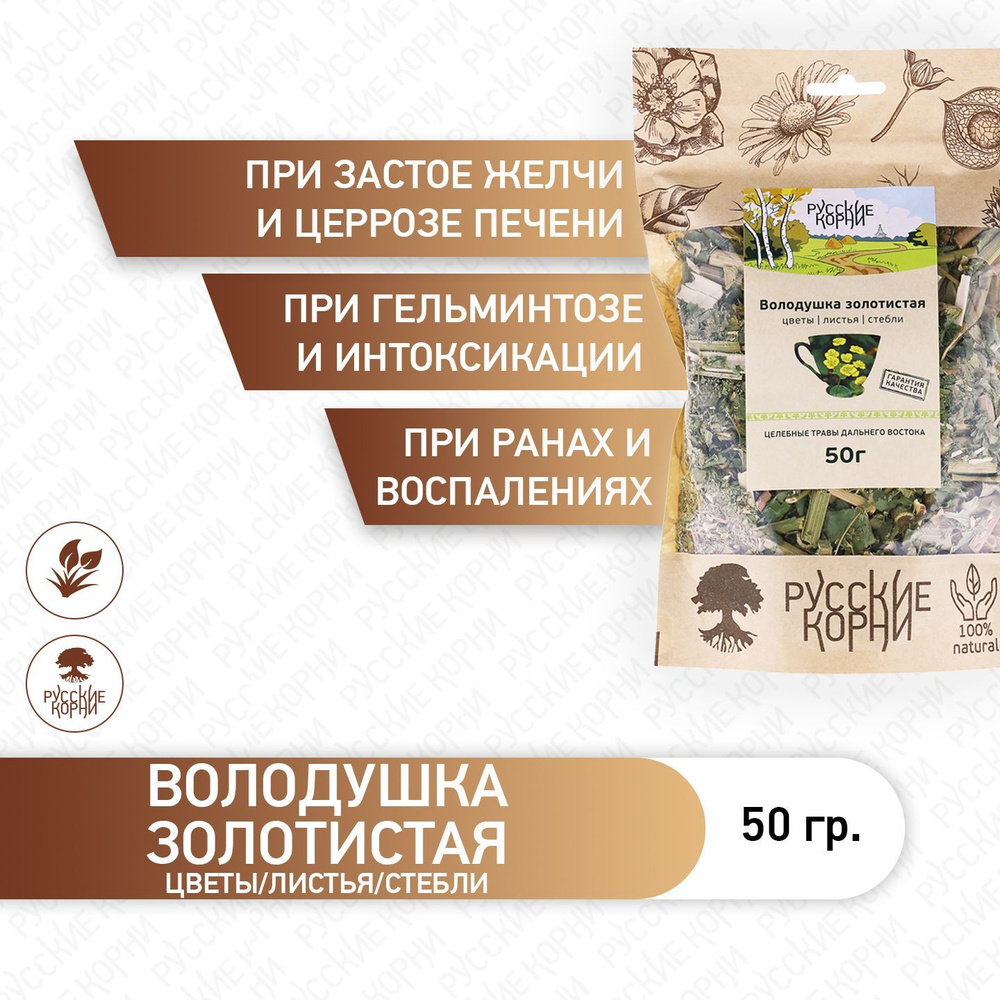 Русские Корни / Володушка золотистая трава 50 гр - купить с доставкой ...