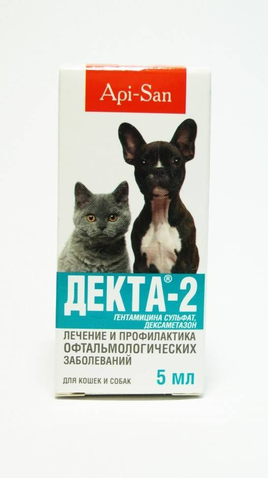 Apicenna Декта-2 капли глазные для кошек и собак 5 мл - купить с доставкой  по выгодным ценам в интернет-магазине OZON (1038259314)