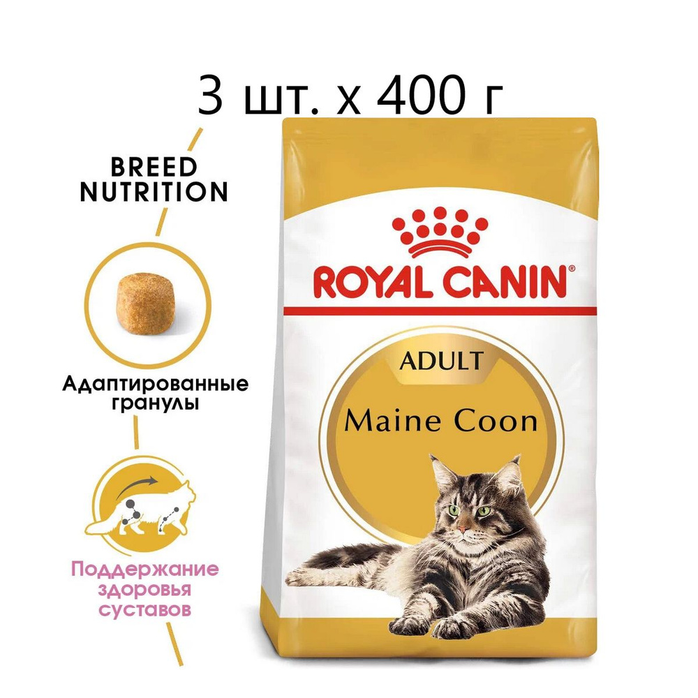 Сухой корм для кошек Royal Canin Maine Coon Adult, для взрослых кошек породы мейн-кун, старше 15 месяцев, #1