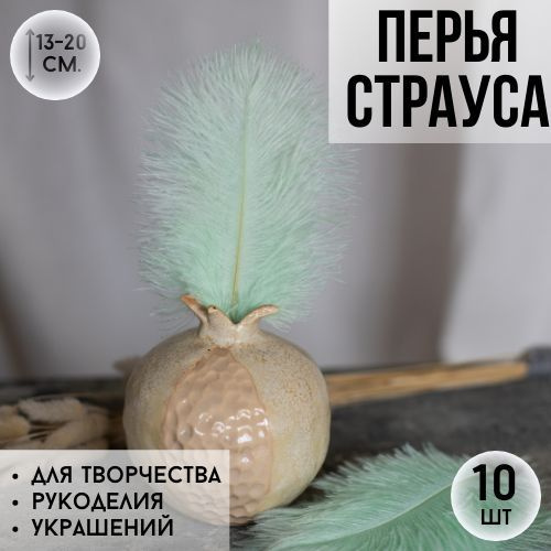 Страусиные перья страуса #1