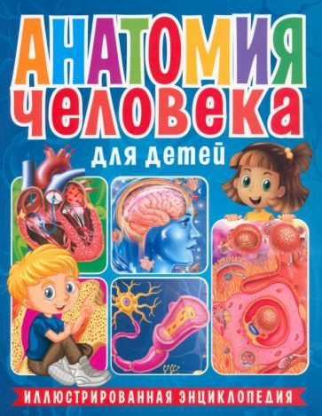 Анатомия человека для детей. Иллюстрированная энциклопедия  #1