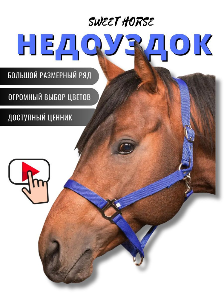 Sweethorse / Недоуздок для лошади и пони SHETTY #1