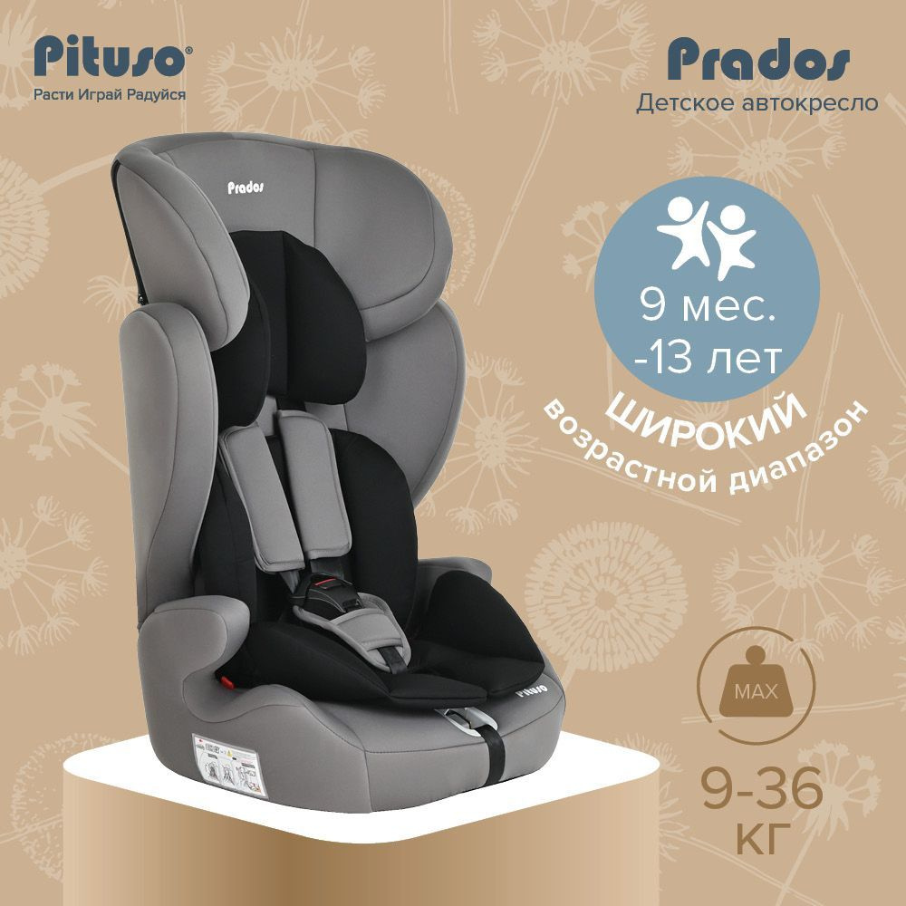 Автокресло детское 9-36 кг Pituso Prados Black Grey/Черно-Серый #1