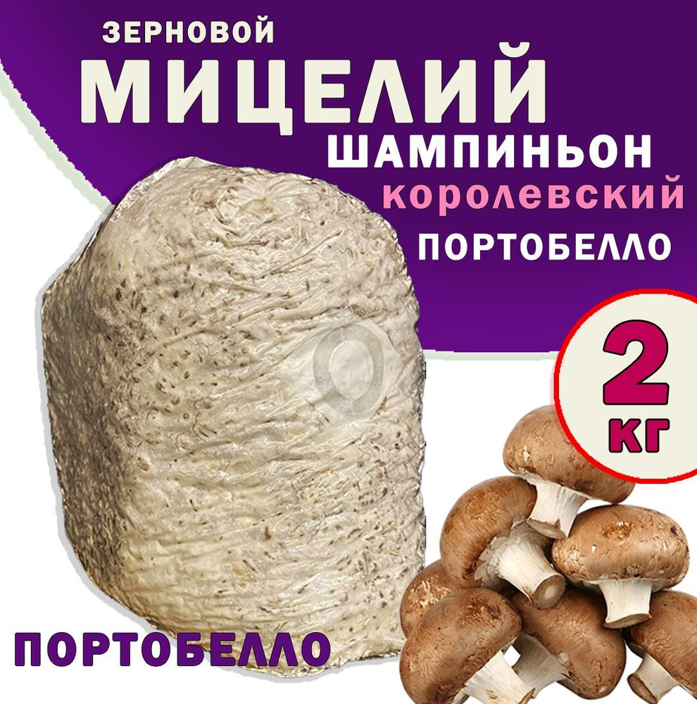 Мицелий грибов шампиньонов королевских зерновой (штамм Портобелло / АР Рortobello) - 2 кг.  #1
