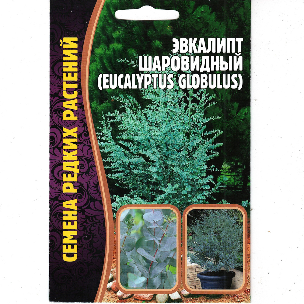 Эвкалипт Шаровидный / eucalyptus Globulus, очищает воздух ( 1 уп: 0,01 г )  #1