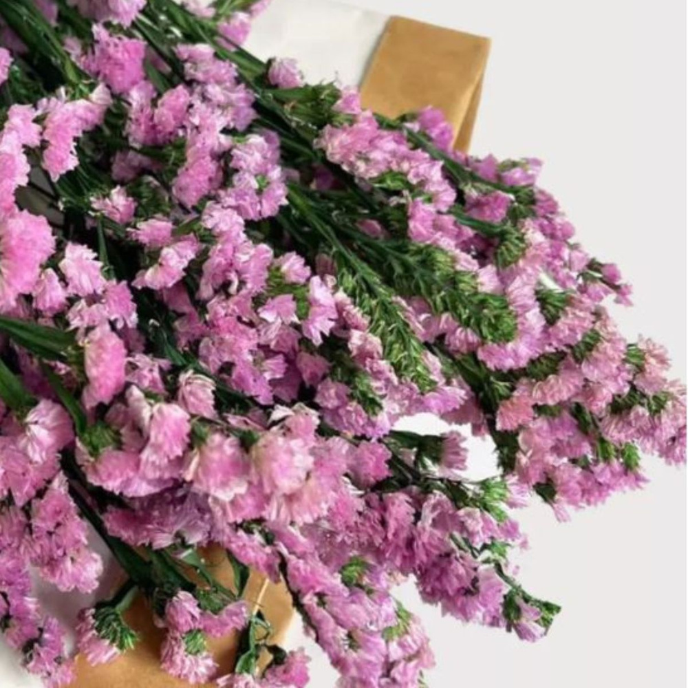 Стабилизированные цветы Статица, Лимониум, 50 см, 50 гр, 1 шт  #1