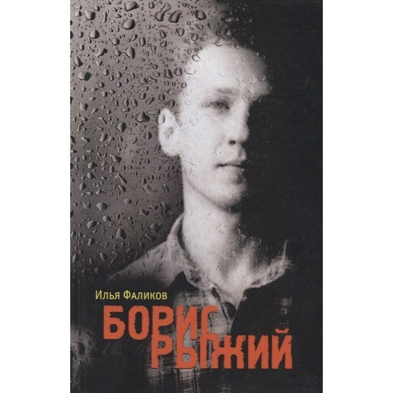 Книга Молодая гвардия Борис Рыжий. Дивий камень. 2022 год, Фаликов И ...