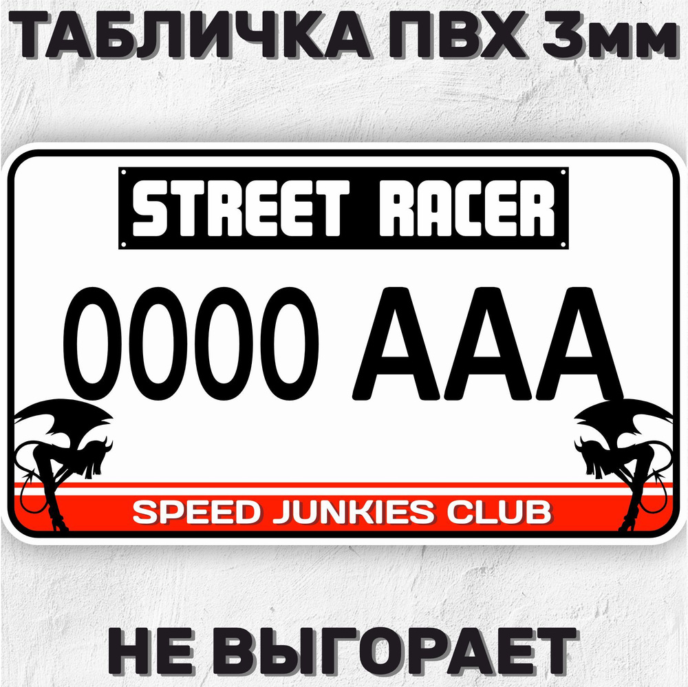 Сувенирный номер на машину / мотоцикл Street Racer Уличный гонщик 29х17 см  #1