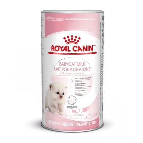 Royal Canin Babycat milk Молоко сухое для котят #1