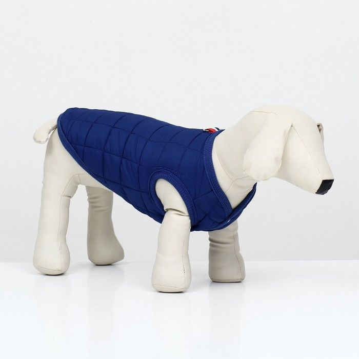 Куртка для собак "Nice", размер XL (ДС 38 см, ОШ 38 см, ОГ 48 см), синяя  #1