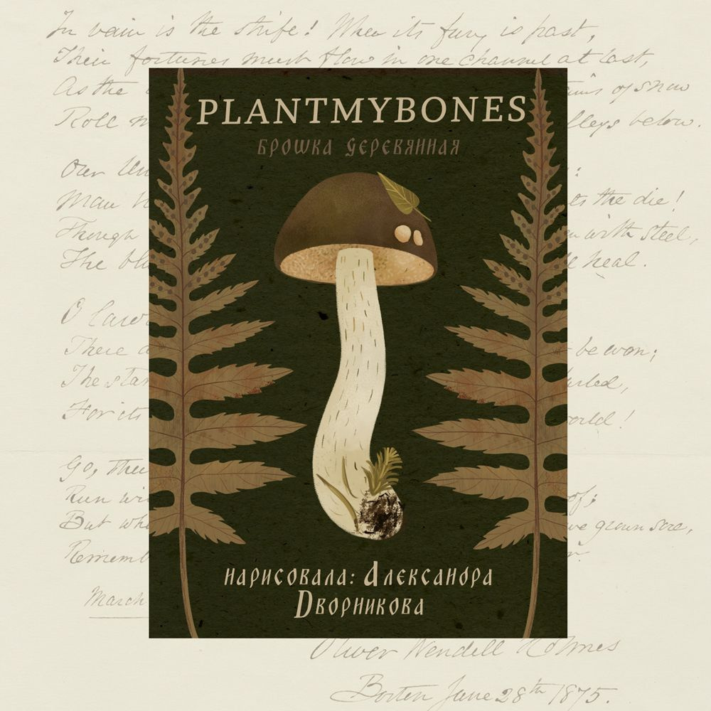 Деревянная брошь PlantMyBones, значок из дерева на замке-булавке с грибами: Подберёзовик  #1