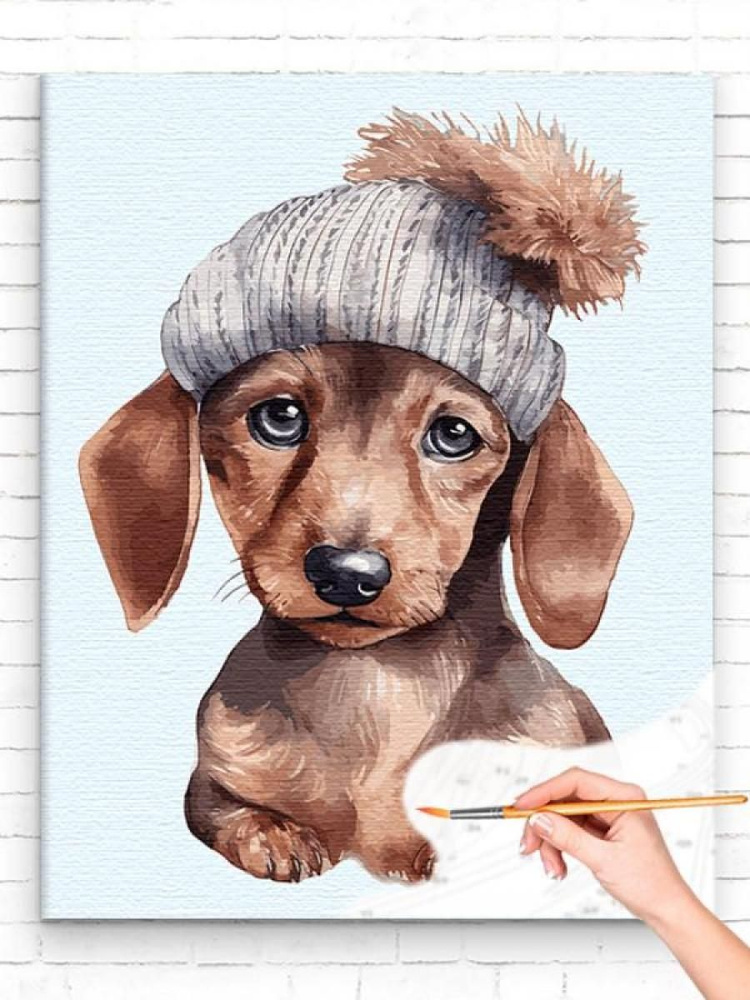 Картина по номерам 'Такса в шапке Животные Собака 40х50' #1