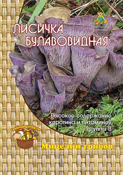 Гриб Лисичка булавовидная (1 уп - 60 мл). Мицелий грибов. Агрохолдинг "Поиск"  #1