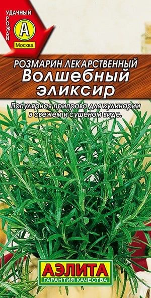 РОЗМАРИН Волшебный эликсир. Семена. Вес 20 шт. Ценится за чудесный аромат. Аэлита  #1