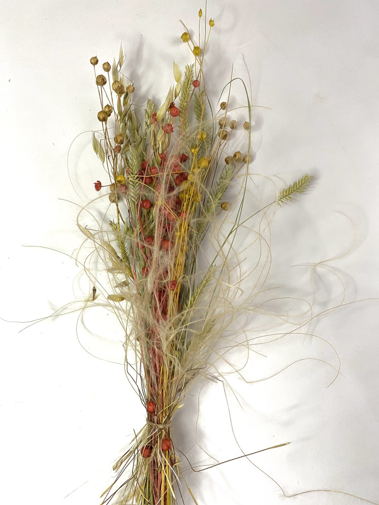 букет из сухоцветов с цветным льном, пшеницей и полевыми сухоцветами  #1