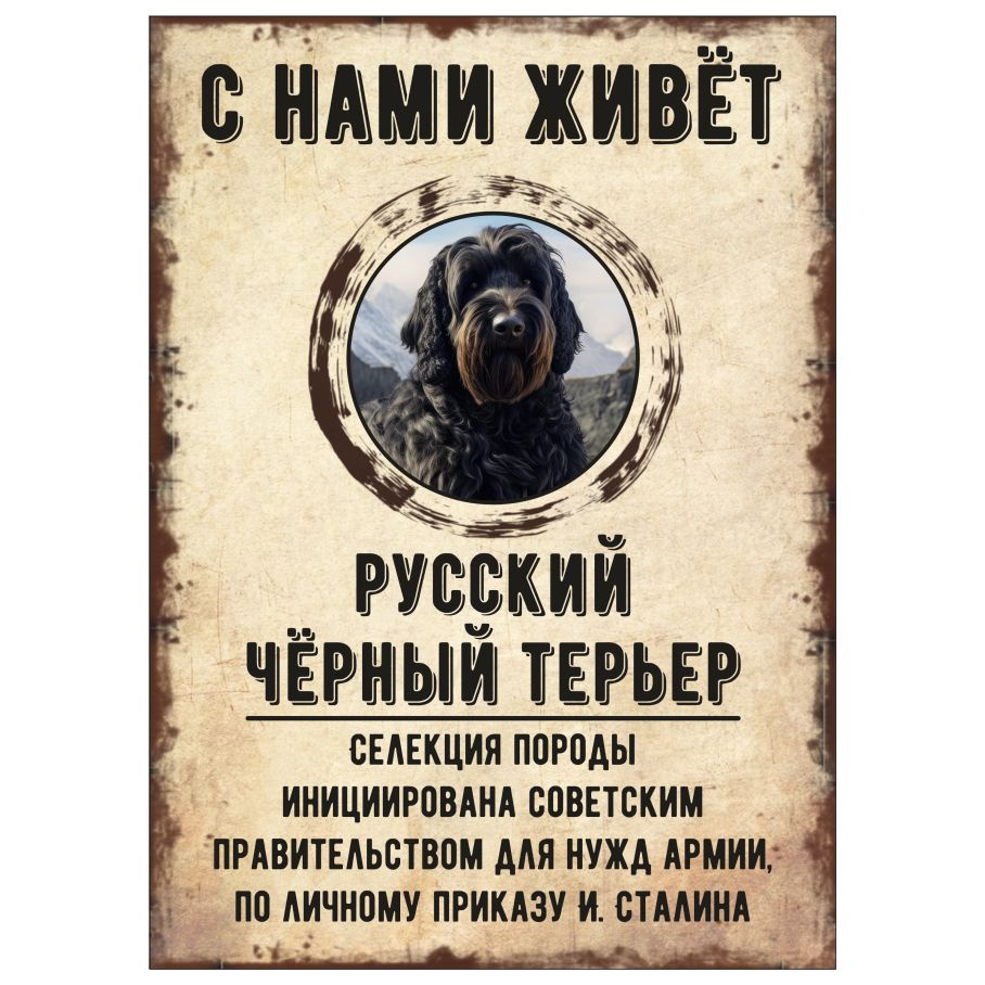 Табличка, декоративная, DANGER DOG, С нами живет Русский черный терьер, 18см х 25см  #1