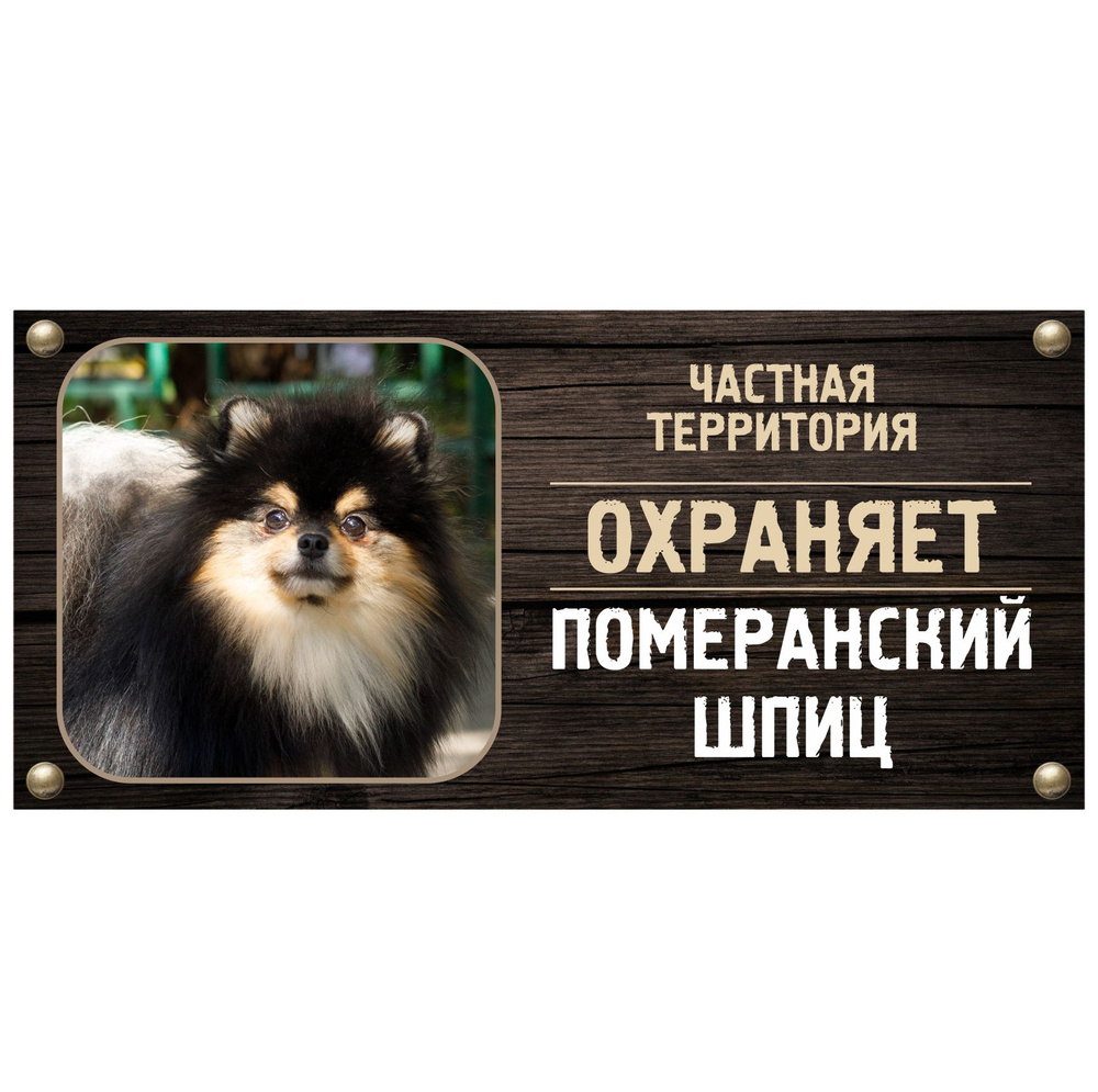 Табличка, Злая собака, Территорию охраняет Померанский шпиц, на металлической основе, 30см х 14 см, на #1