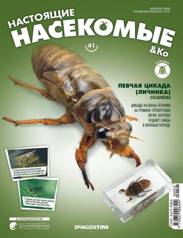 Журнал №41 "Настоящие насекомые" С ВЛОЖЕНИЕМ! Певчая цикада (личинка)  #1