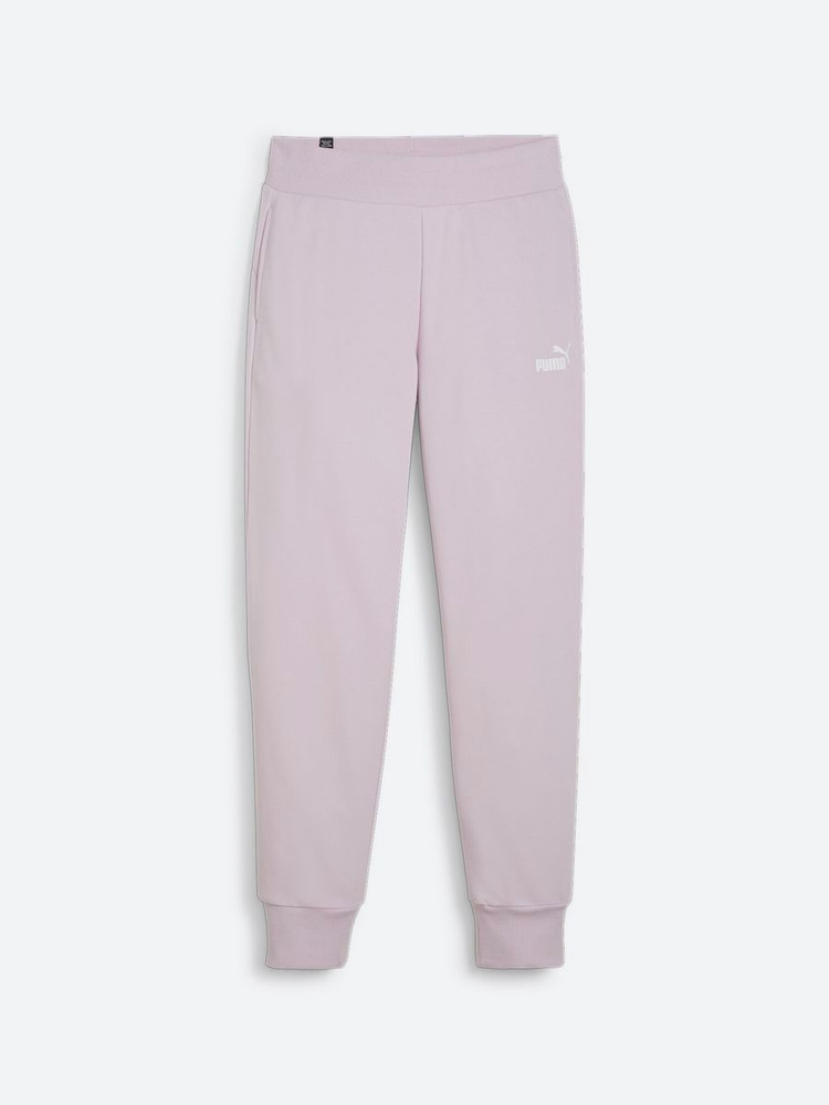 Брюки спортивные PUMA Ess Sweatpants Tr Cl (S) #1