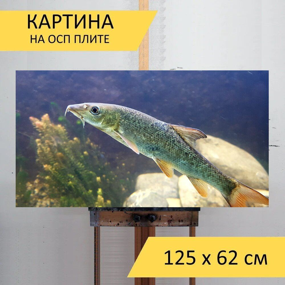 LotsPrints Картина "Рыбы, барбекю, воды 47", 125  х 62 см #1