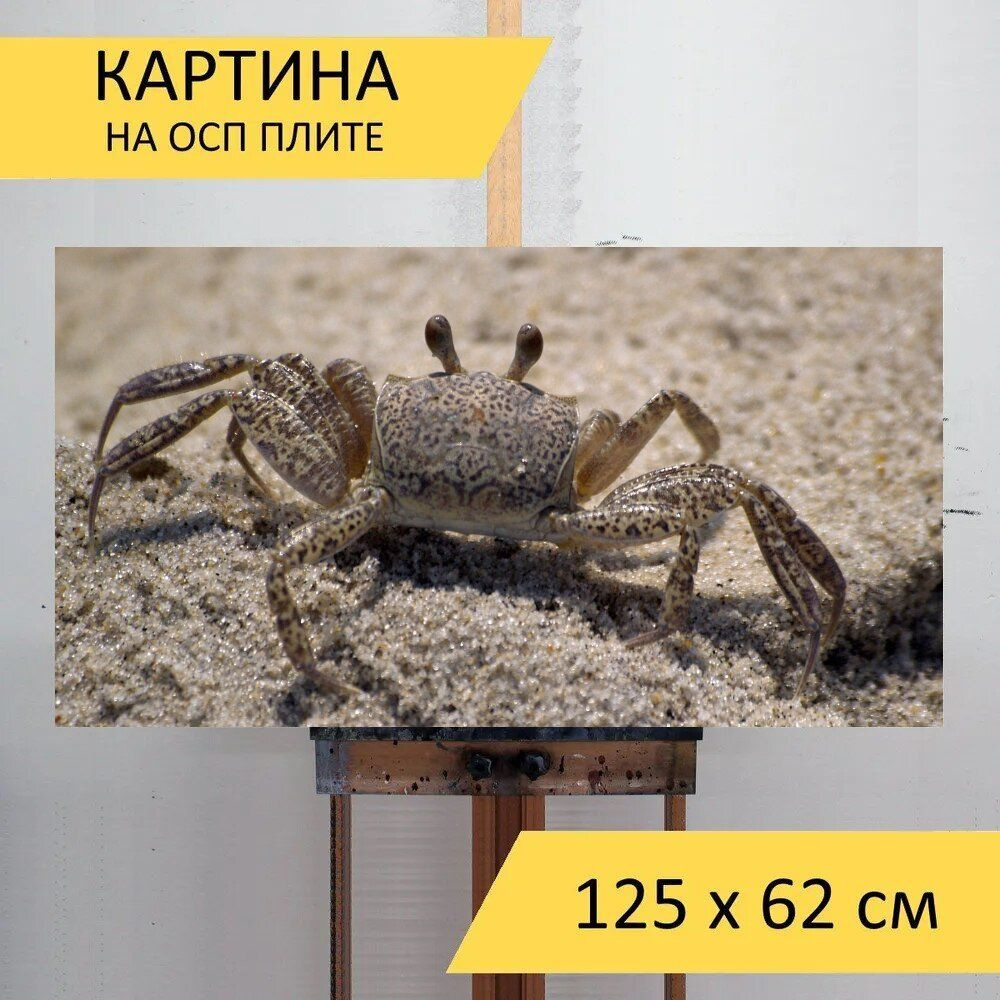 LotsPrints Картина "Краб, пляж, призрачный краб 85", 125  х 62 см #1