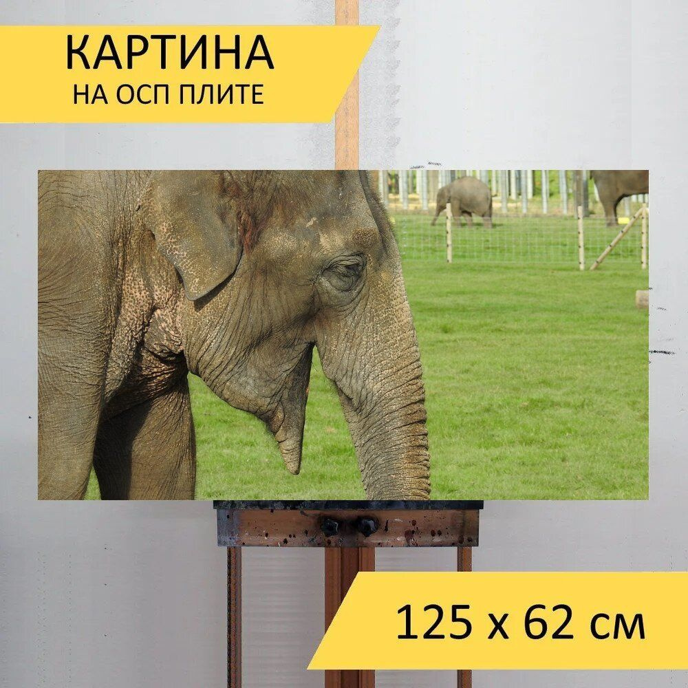 LotsPrints Картина "Слон, млекопитающее, животное 28", 125 х 62 см  #1