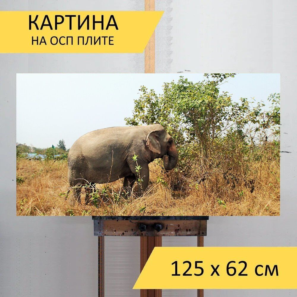 LotsPrints Картина "Слон, луг, сухой травы 56", 125  х 62 см #1