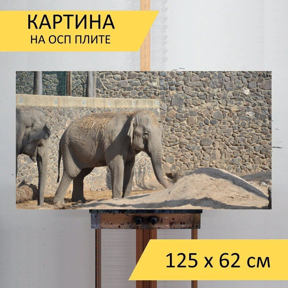 LotsPrints Картина "Слон, серый, зоопарк 10", 125  х 62 см #1