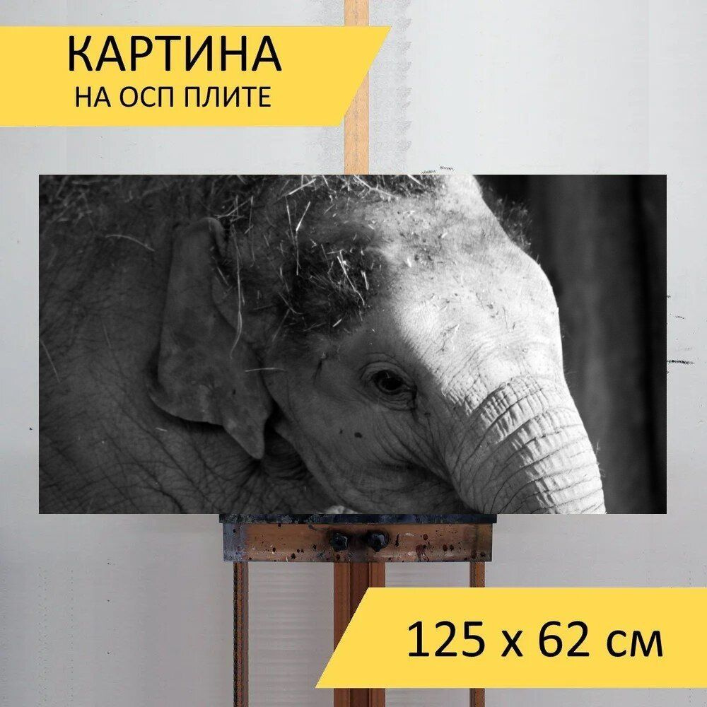 LotsPrints Картина "Слон, грей, большие 75", 125  х 62 см #1