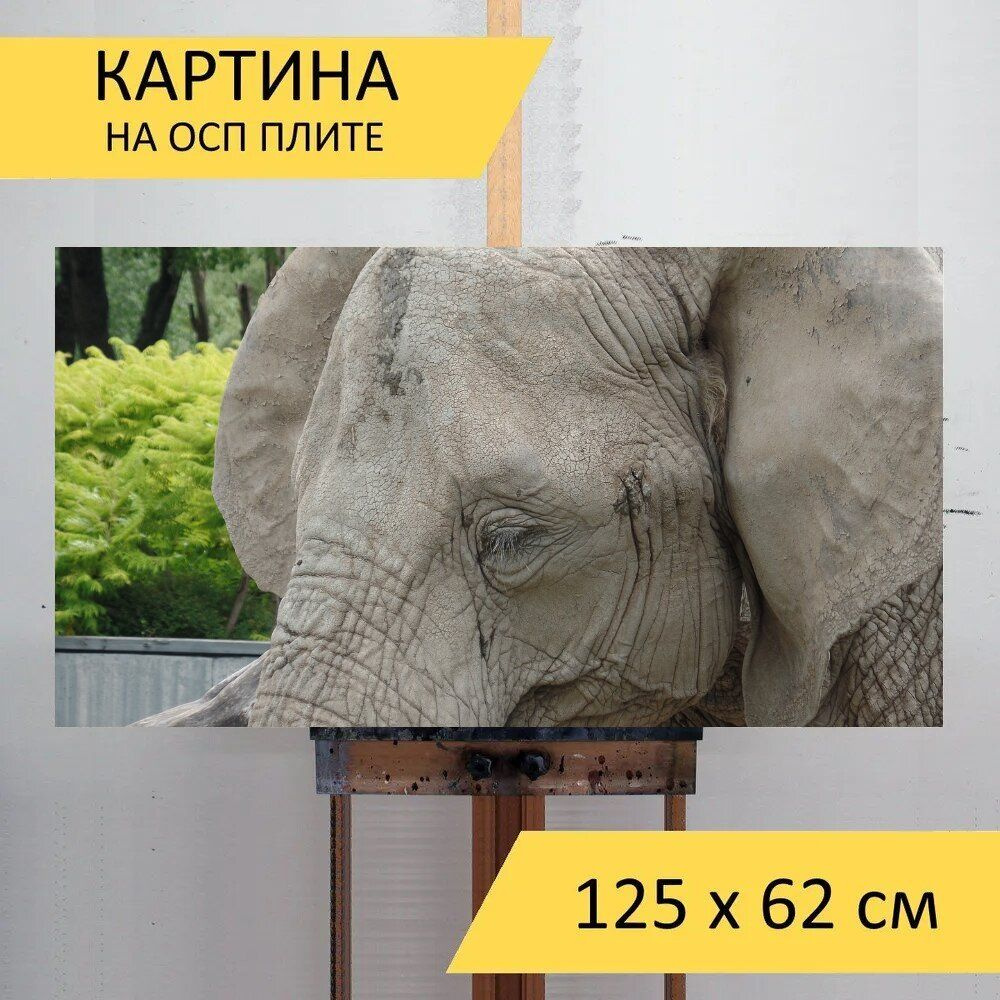LotsPrints Картина "Слон, зоопарк, африка 12", 125  х 62 см #1