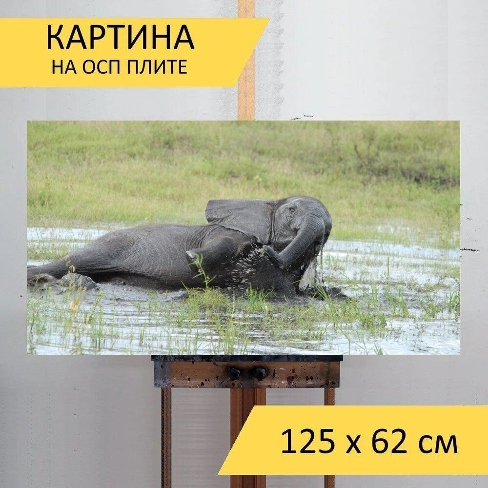 LotsPrints Картина "Слон, ванна, животное 03", 125  х 62 см #1