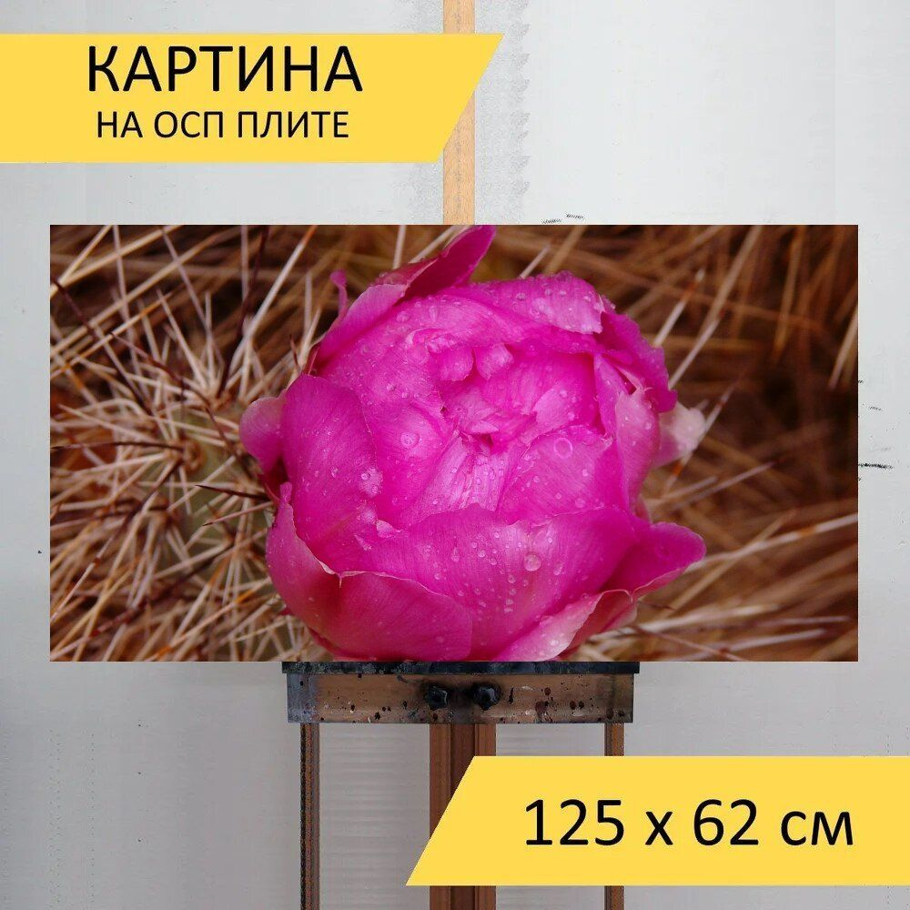 LotsPrints Картина "Кактус, цвести, цветок 02", 125  х 62 см #1