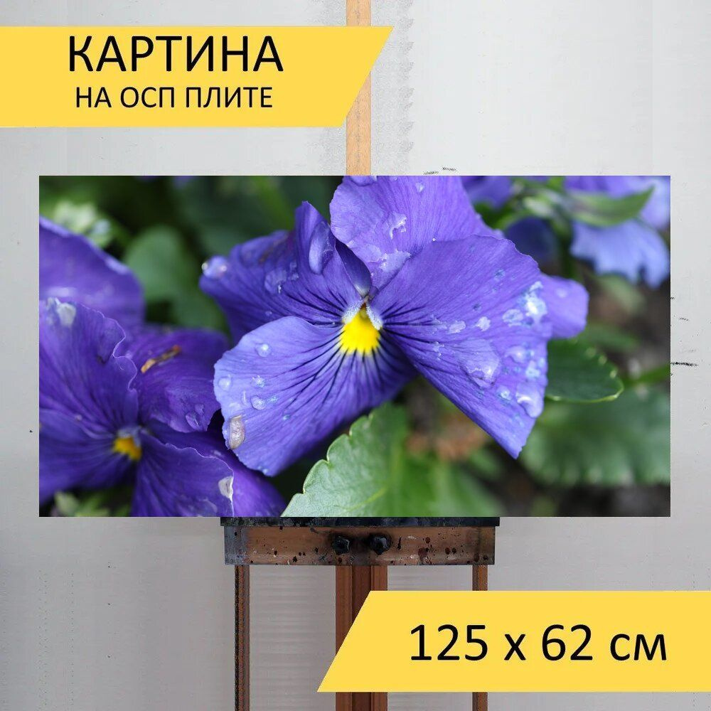 LotsPrints Картина "Анютины глазки, синий, цветок 31", 125 х 62 см  #1