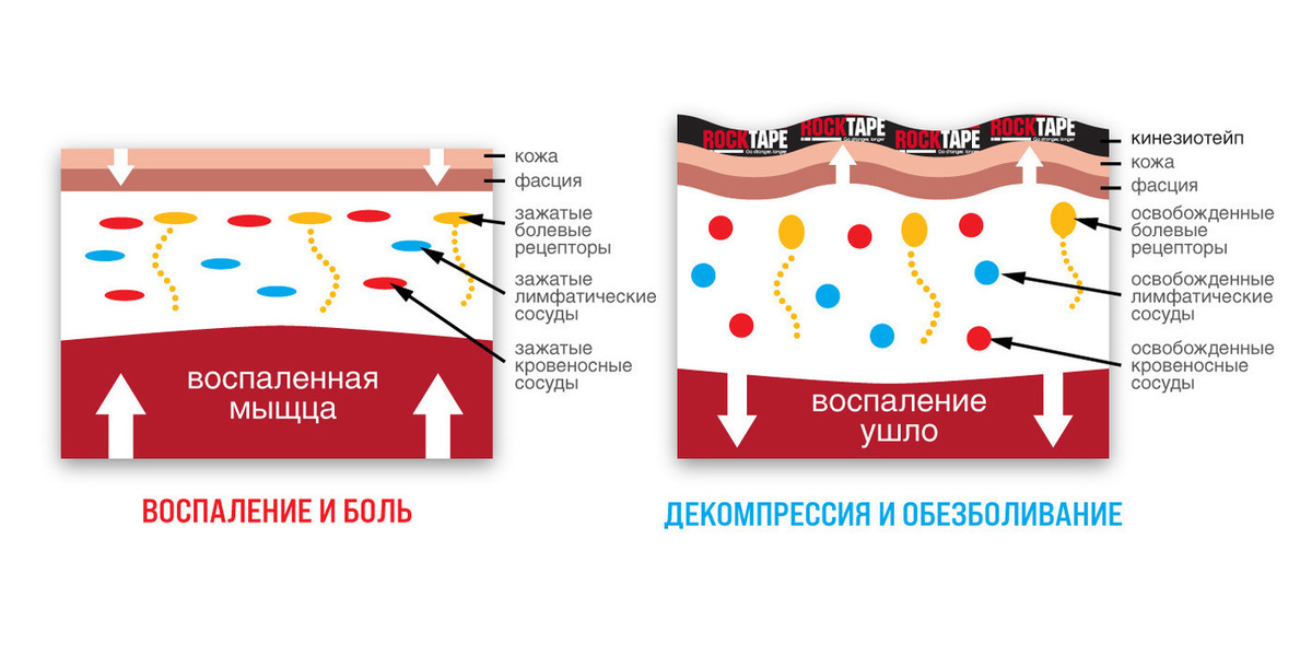 Текстовое описание изображения