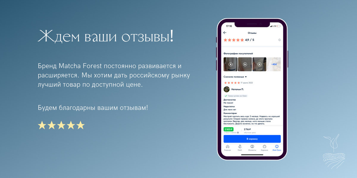 Текстовое описание изображения