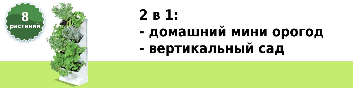 Текстовое описание изображения