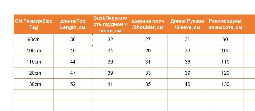 Текстовое описание изображения