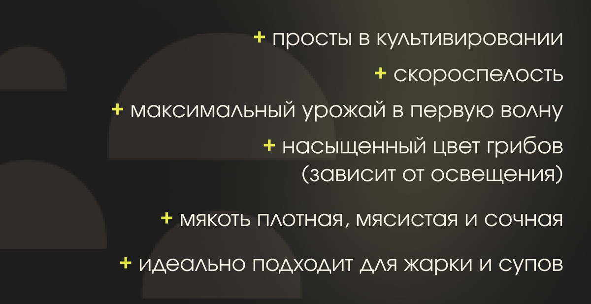 Особенности "Черного принца"