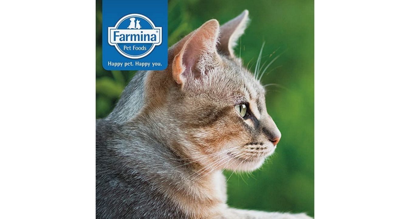 Farmina Vet Life Cat Hairball (Корм для кошек, снижающий образование и ...