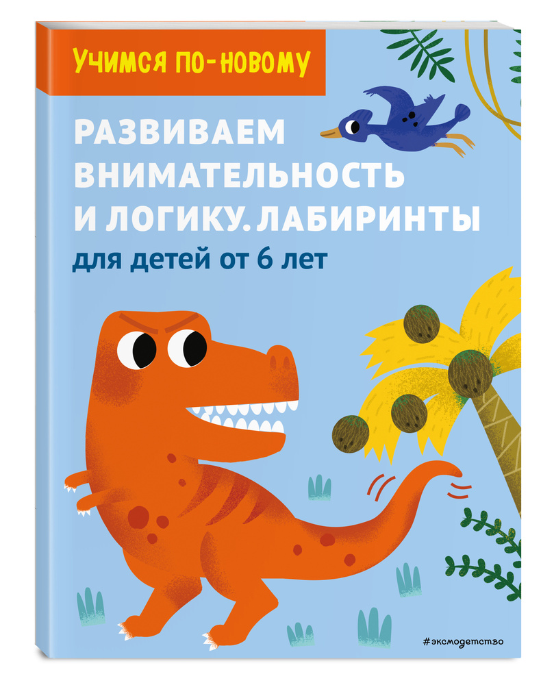 Развиваем внимательность и логику. Лабиринты: для детей от 6 лет  #1