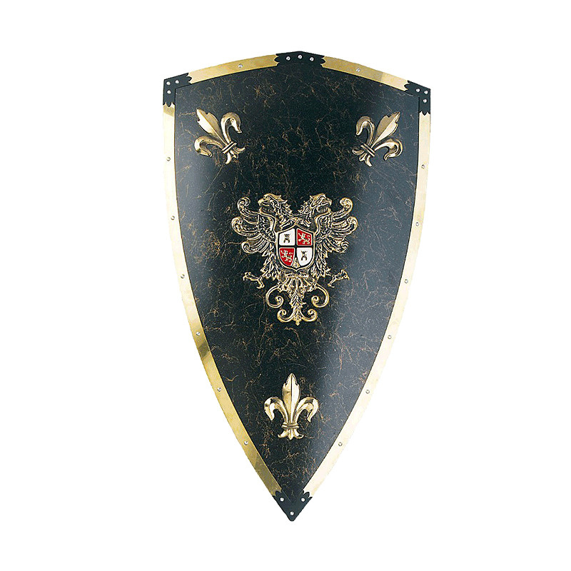 Щит рыцарский Карла V Великого #1